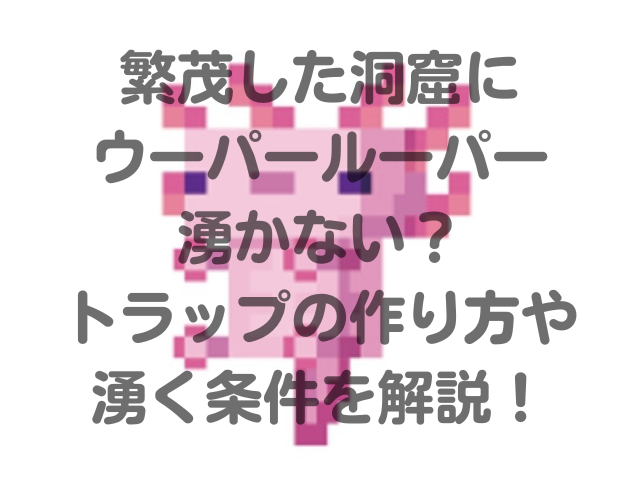 マイクラ繁茂した洞窟にウーパールーパーいない トラップの作り方や湧く条件を解説 Kens Official Blog カムカム情報サイト