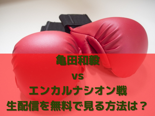 亀田和毅vsエンカルナシオン戦の生配信を無料で見る方法